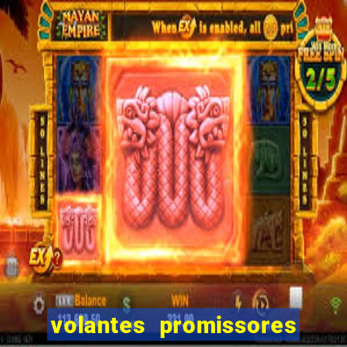 volantes promissores ea fc 24